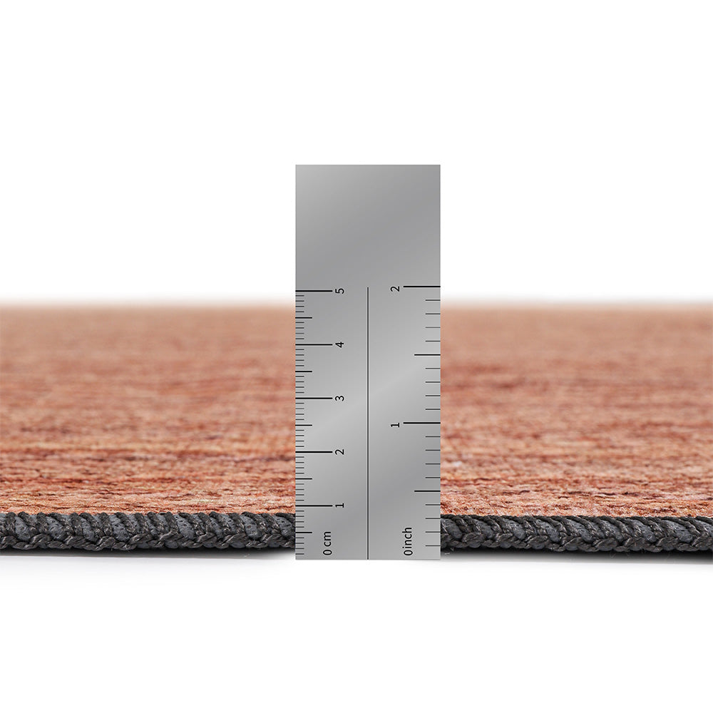 Rug Large Contemporary Modern Design - Beige (290x200 cm) - Gyne